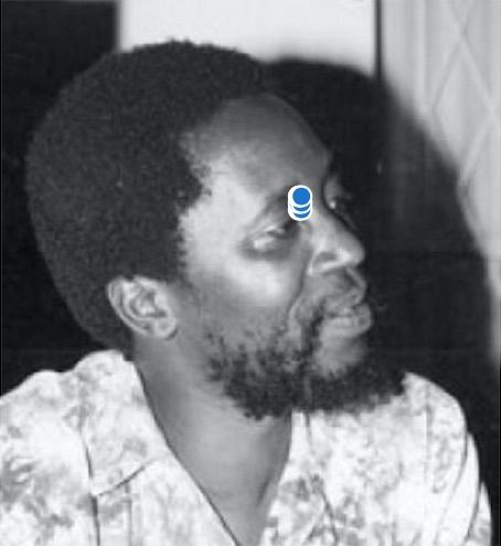 Chenjerai Hove Giraffe Heroes Project — StickYourNeckOut for the